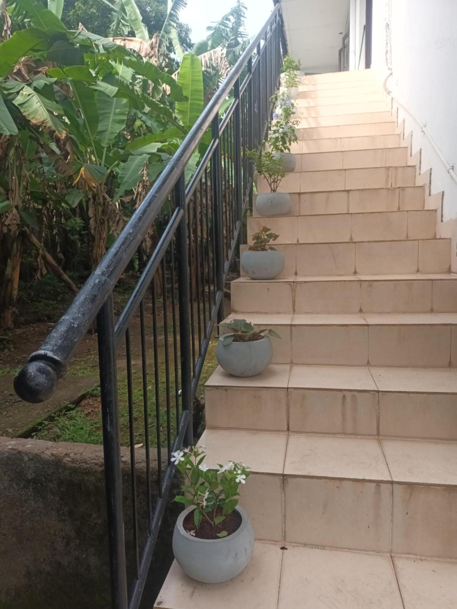 Lovely Flowers In Mount Lavinia Dehiwala-Mount Lavinia Zewnętrze zdjęcie