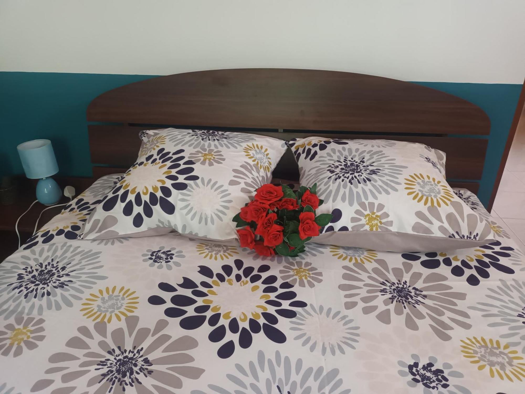 Lovely Flowers In Mount Lavinia Dehiwala-Mount Lavinia Zewnętrze zdjęcie